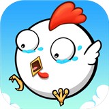 动物雨 V1.2.0 动物雨 V1.2.0
