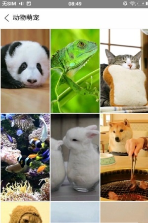 旋风壁纸手机版最新版 V1.1.0截图3