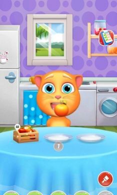 我的会说话的猫Tommy中文最新版 V1.11.40截图1