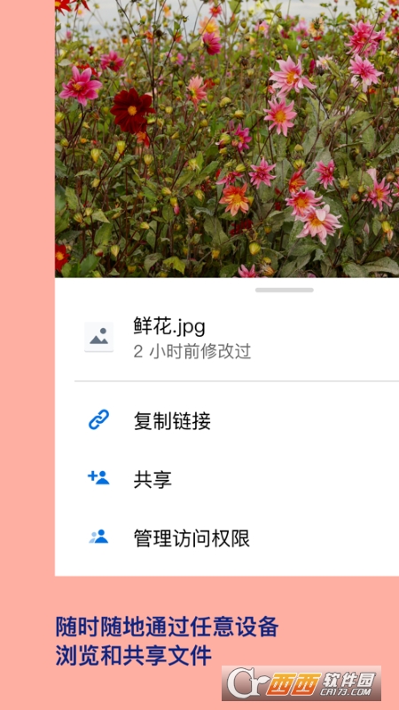 Dropbox(多宝箱) V278.2.2 安卓版截图1