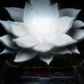 莽荒余生 V1.00