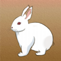 守住小兔子游戏官方版  V1.0