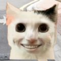 拯救小宠物游戏官方版  V1.0