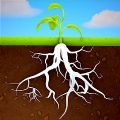 深种摇钱树游戏中文版(Grow Trees) V0.1 深种摇钱树游戏中文版(Grow Trees) V0.1