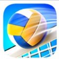 排球竞技场游戏官方安卓版  V1.0