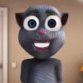 嗨皮猫会说话的胡安猫游戏下载安装最新版 V1.0 嗨皮猫会说话的胡安猫游戏下载安装最新版 V1.0