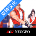 真饿狼传说特别版游戏官方版  V1.1.0