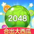 合出大西瓜游戏官方版  V1.1.9.2