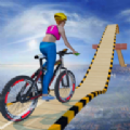 疯狂自行车特技赛3d V1.3