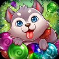 小狗流行游戏中文版(Puppy Pop) V1.0.34 小狗流行游戏中文版(Puppy Pop) V1.0.34