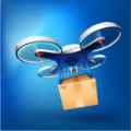 无人机货运游戏安卓版（Drone Cargo）   V1.10