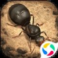 小小蚁国真实蚁巢游戏官方版 V1.29.0 小小蚁国真实蚁巢游戏官方版 V1.29.0