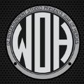 英雄战争War of Heroes中文版安卓版游戏下载   V110