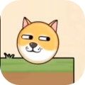 保护狗头不被蜜蜂蛰游戏下载安装  V1.0.4.0