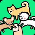 Play with Dogs游戏安卓最新版 V3.0.0 Play with Dogs游戏安卓最新版 V3.0.0