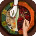 阴阳锅游戏免广告最新版 V1.0 阴阳锅游戏免广告最新版 V1.0