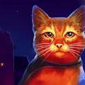 老鼠猫模拟器游戏下载安装手机版  V1.0