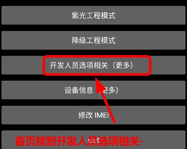 华强北手表开发工具2025最新版本