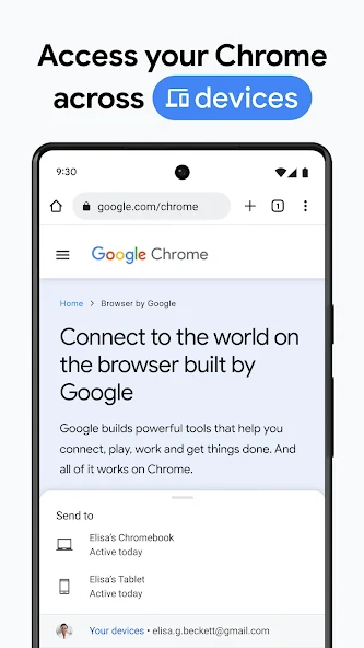 谷歌搜索引擎google 133.0.6943.121截图1