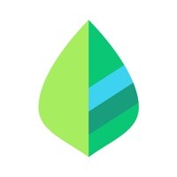 薄荷记账app下载安装 V10.8.1 安卓版