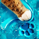 解压开心果 V2.2