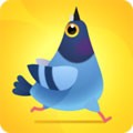 Pigeon Pop V1.1.3