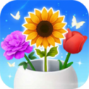 花开大吉 V1.0.0.1