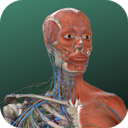 万康人体解剖app V3.3.1