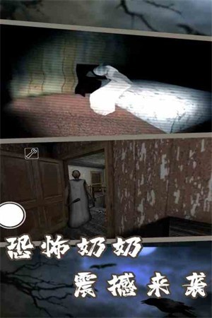 恐怖奶奶7 V1.8截图2