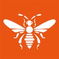 伴车星 V6.7.4