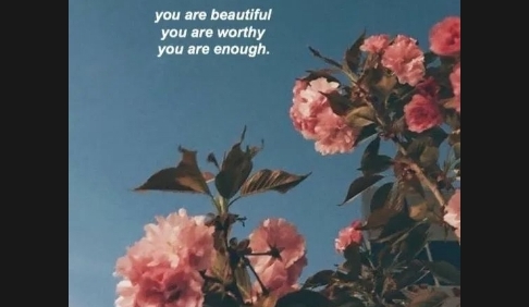 珊瑚壁纸最新版