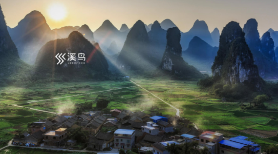 溪鸟app最新版本