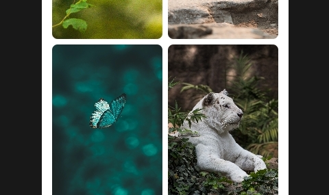 元气手机壁纸免费版