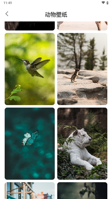 元气手机壁纸免费版