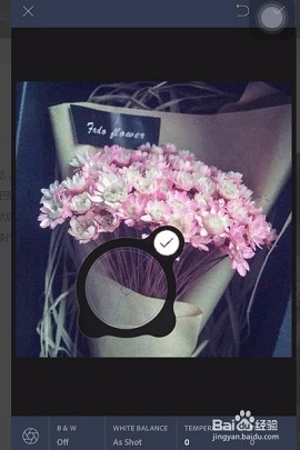 Lightroom修图2025最新版