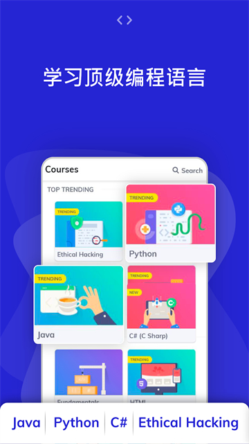 Programming Hub官方版