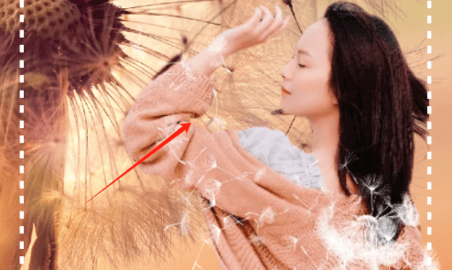 元气秀秀vip永久会员版