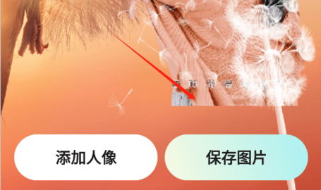 元气秀秀vip永久会员版