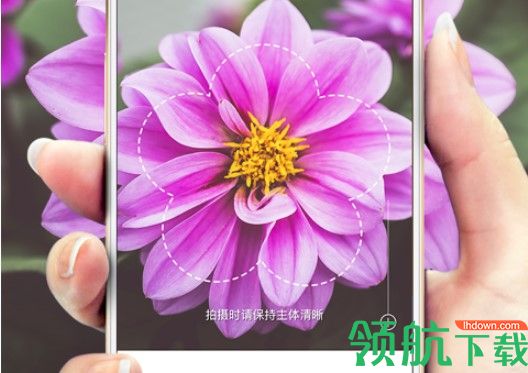 形色植物识别app2025最新
