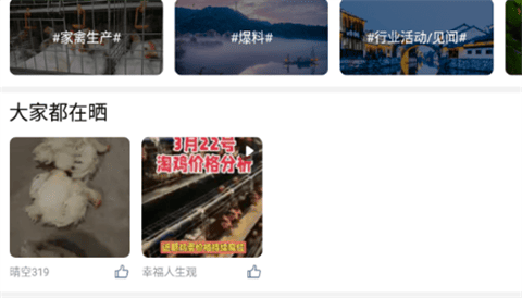 鸡病专业网论坛官方版