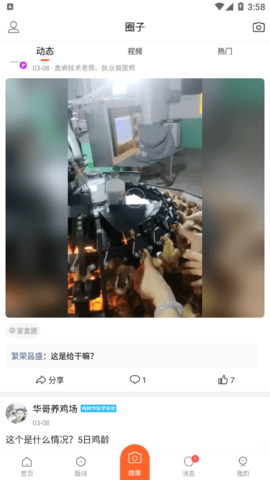 鸡病专业网论坛2025最新版