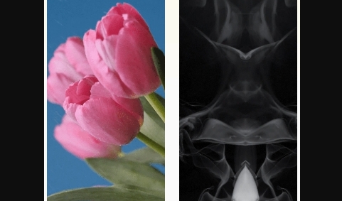 超高清换壁纸APP无广告免费版