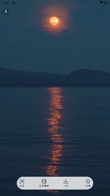 超高清换壁纸APP无广告免费版