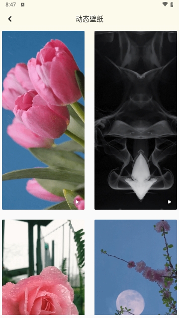 超高清换壁纸APP无广告免费版