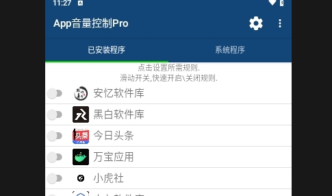 App Volume Control Pro无广告版