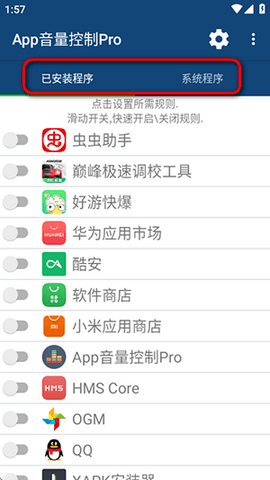 App Volume Control Pro无广告版