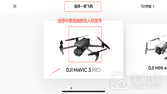 DJI Fly