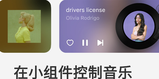 谜底黑胶app官方版