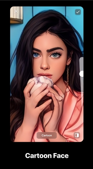 personaapp特效软件