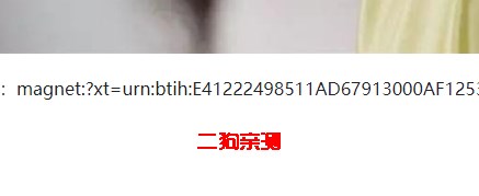 P2P下载器app官方版
